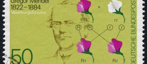 Gregor Mendel briefmarke