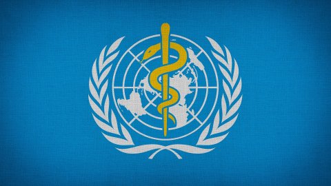 WHO Weltgesundheitsorganisation Logo