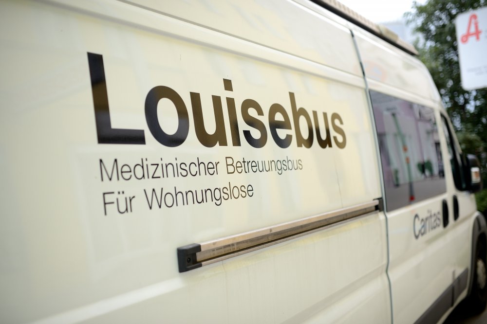 Louisebus