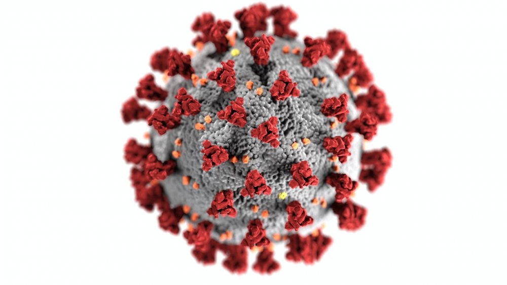 Omikron Coronavirus