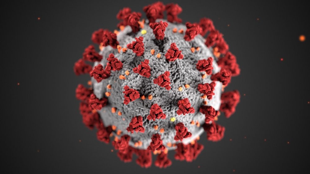 Coronavirus Covid-19 Virus